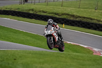 Advanced Group Multicolour Bikes